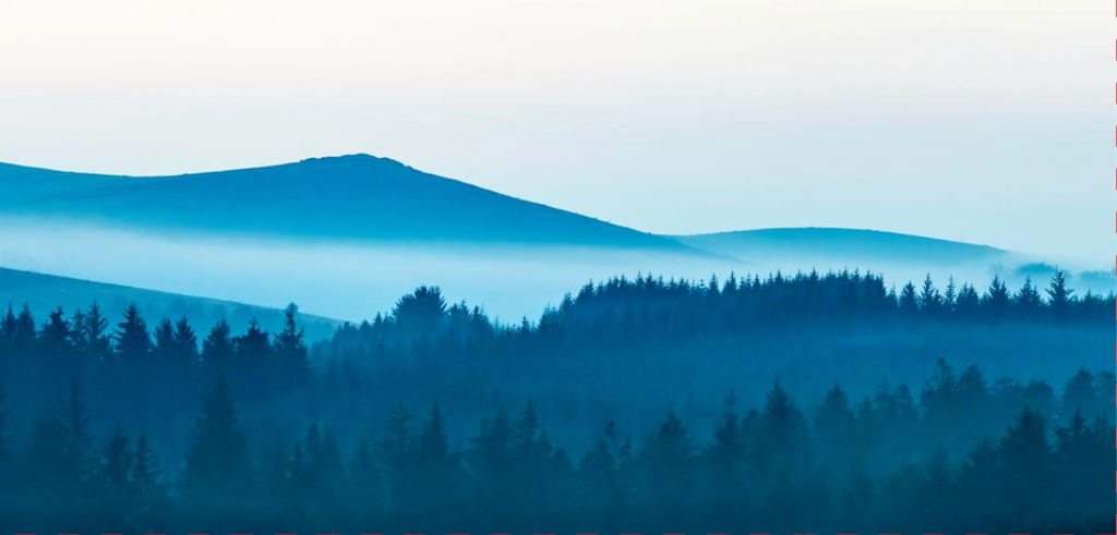 Blue Ridge | Christmas Card