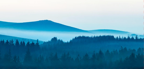 Blue Ridge | Christmas Card