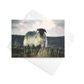 'Ewe Looking at Me?' Greeting Card