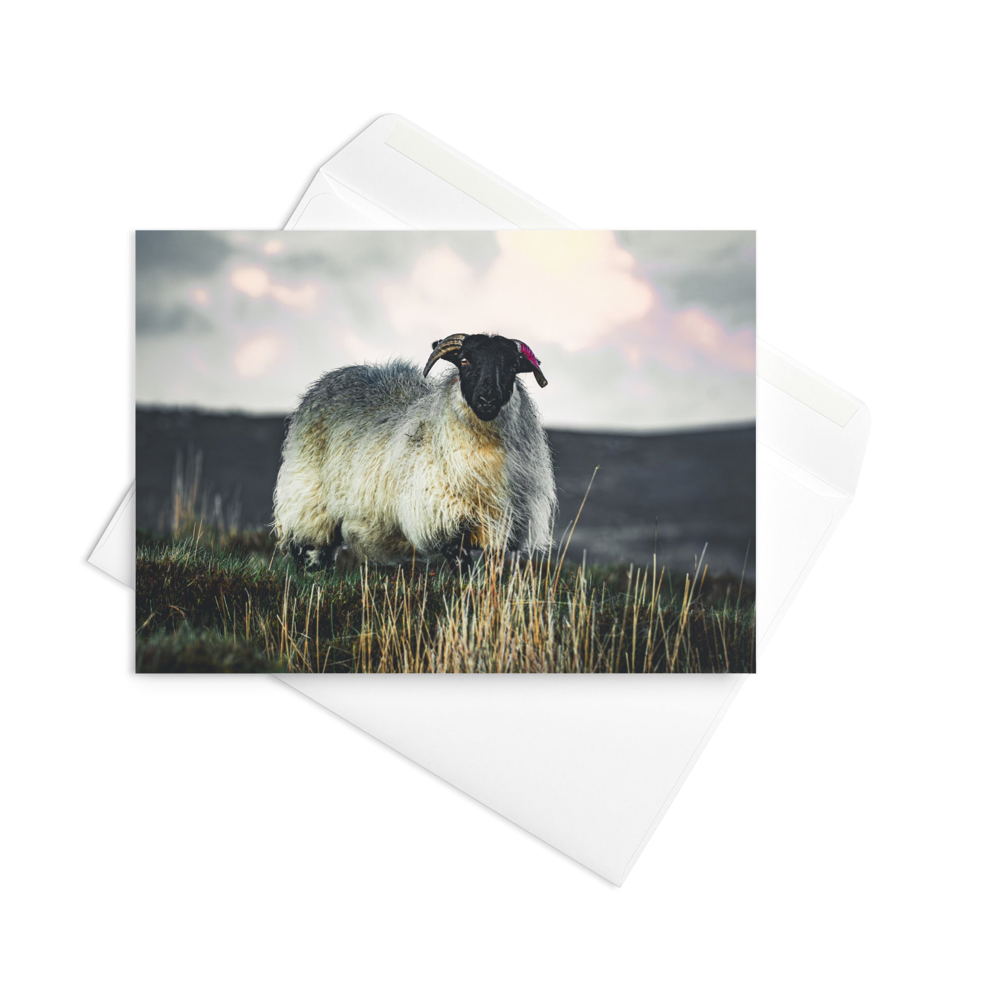 'Ewe Looking at Me?' Greeting Card