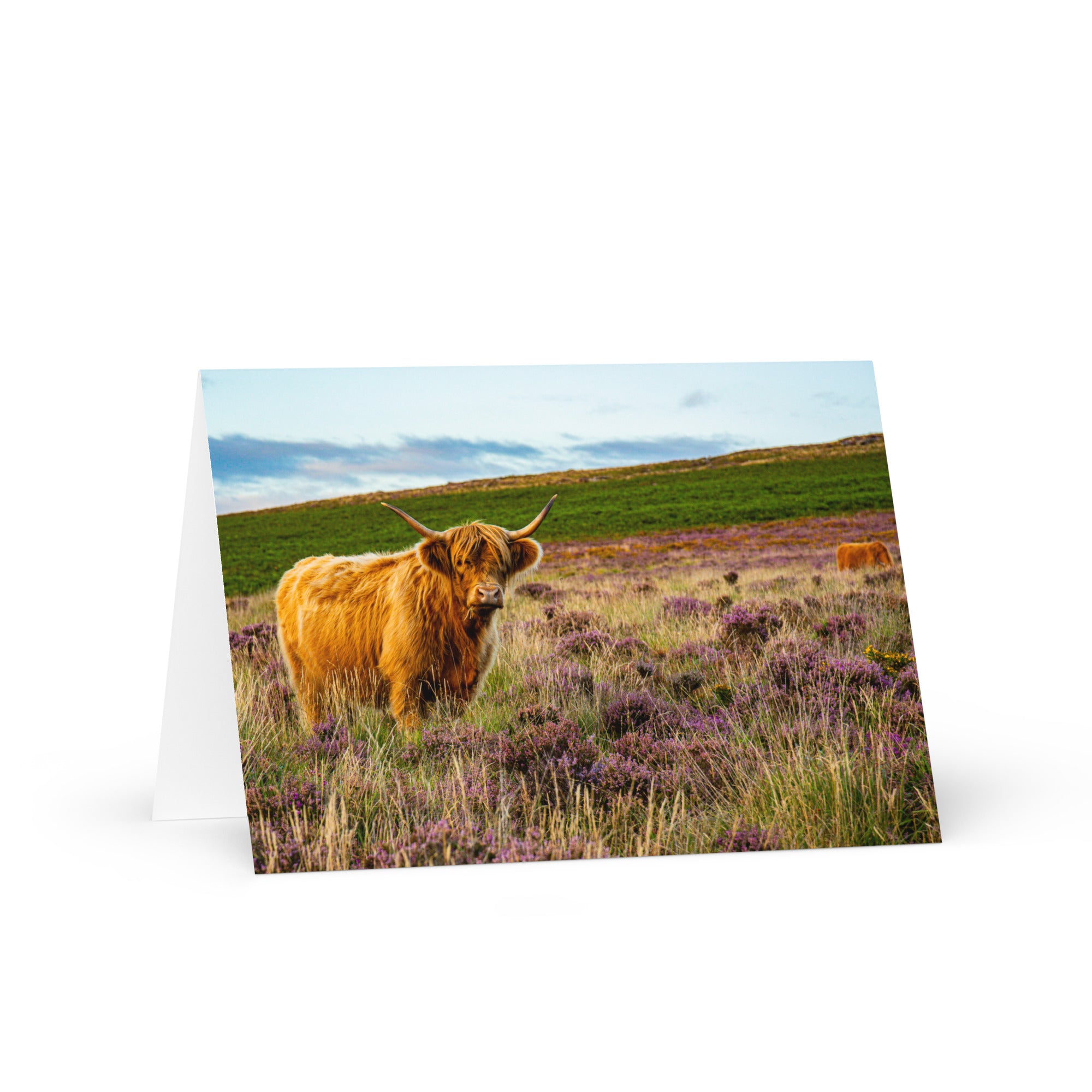Highland of the Moor 7x5 Greeting Card