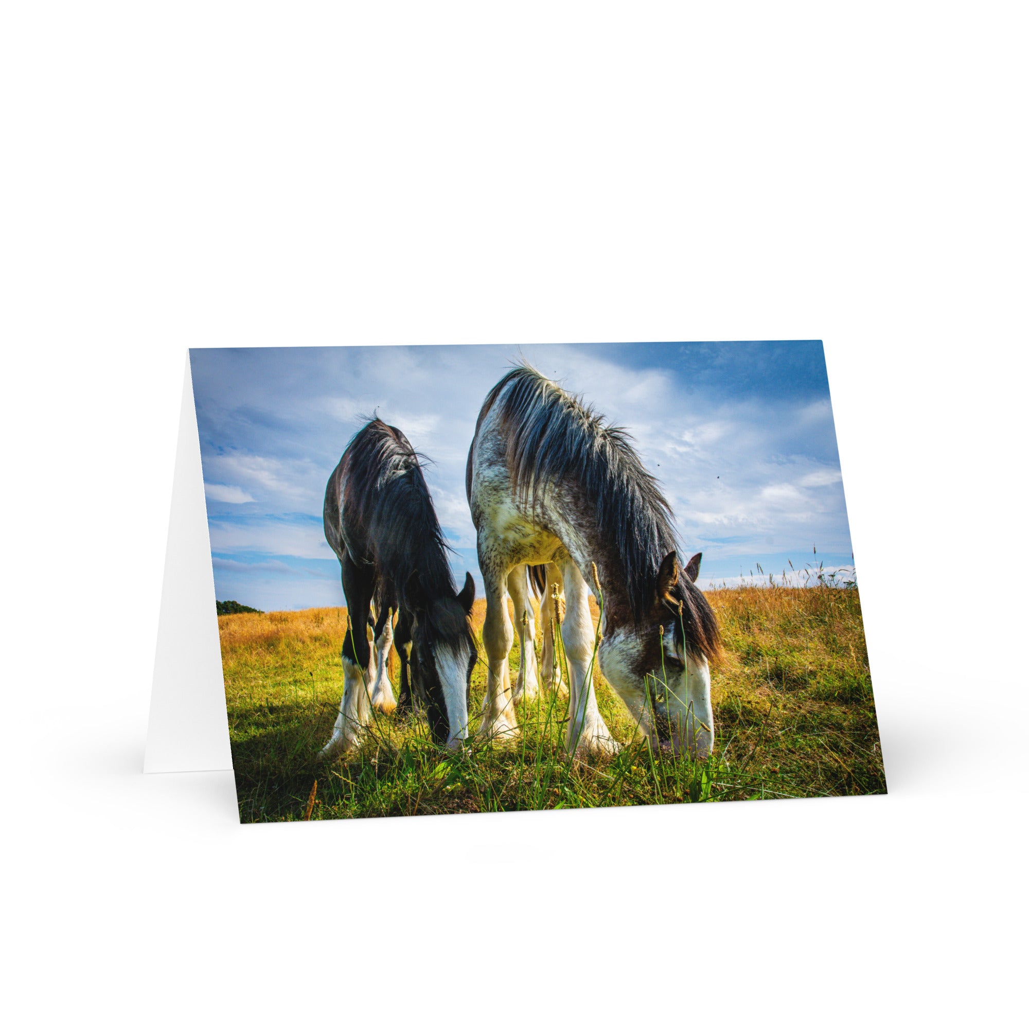 The Likely Lads 7x5 Greeting Card