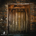 Ancient Doorway Magnet