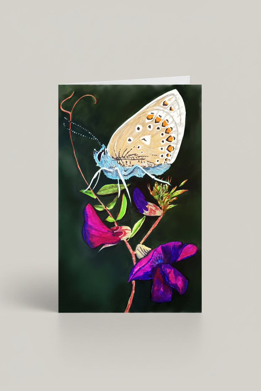 Butterfly on Vetch - Clean Studio Mockup