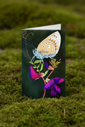 Butterfly on Vetch - Mossy Mockup
