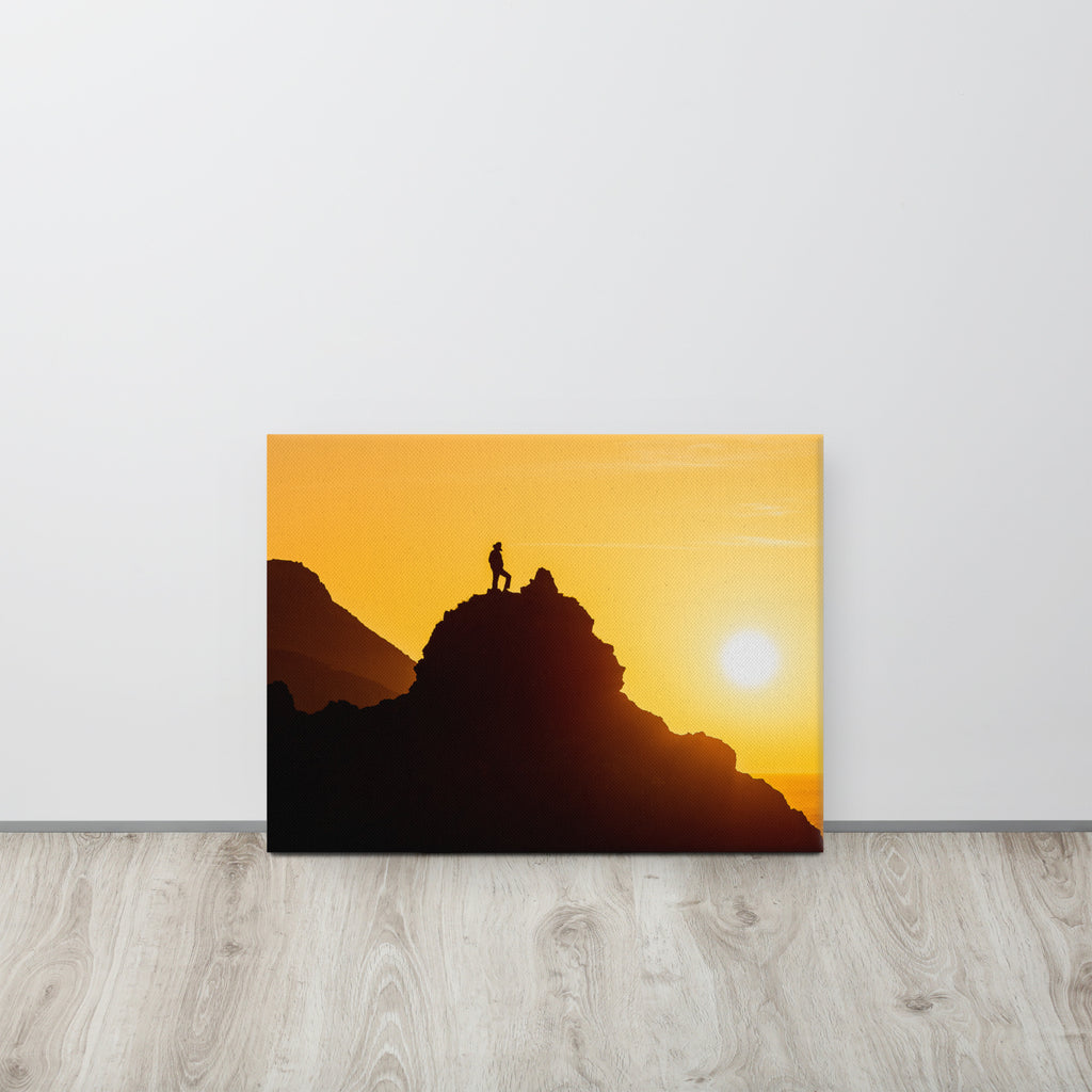 Canvas 'Free to climb'