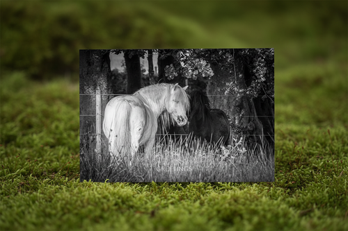Dartmoor Hillies - Mossy Mockup