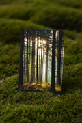 Forest Gold - Mossy Mockup