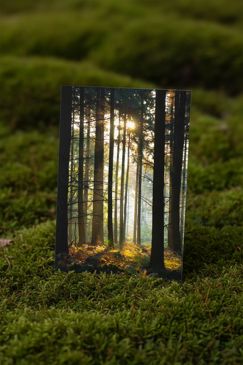 Forest Gold - Mossy Mockup