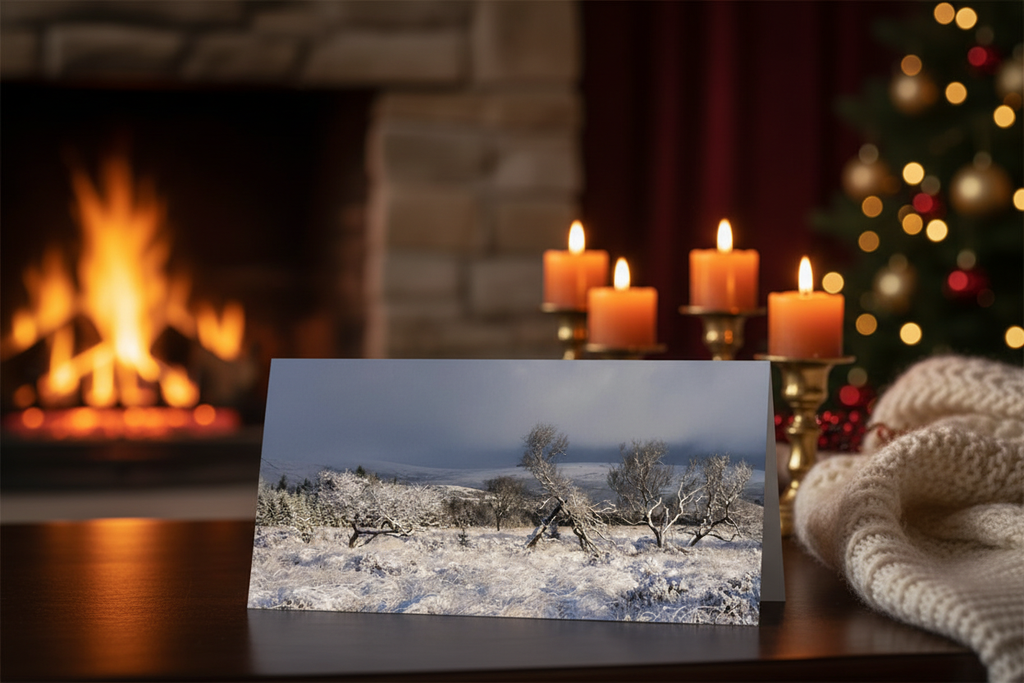 Frosted Trees Stormy Sky Tent Fold Mockup