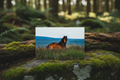 Golden Brown - Moss Mockup