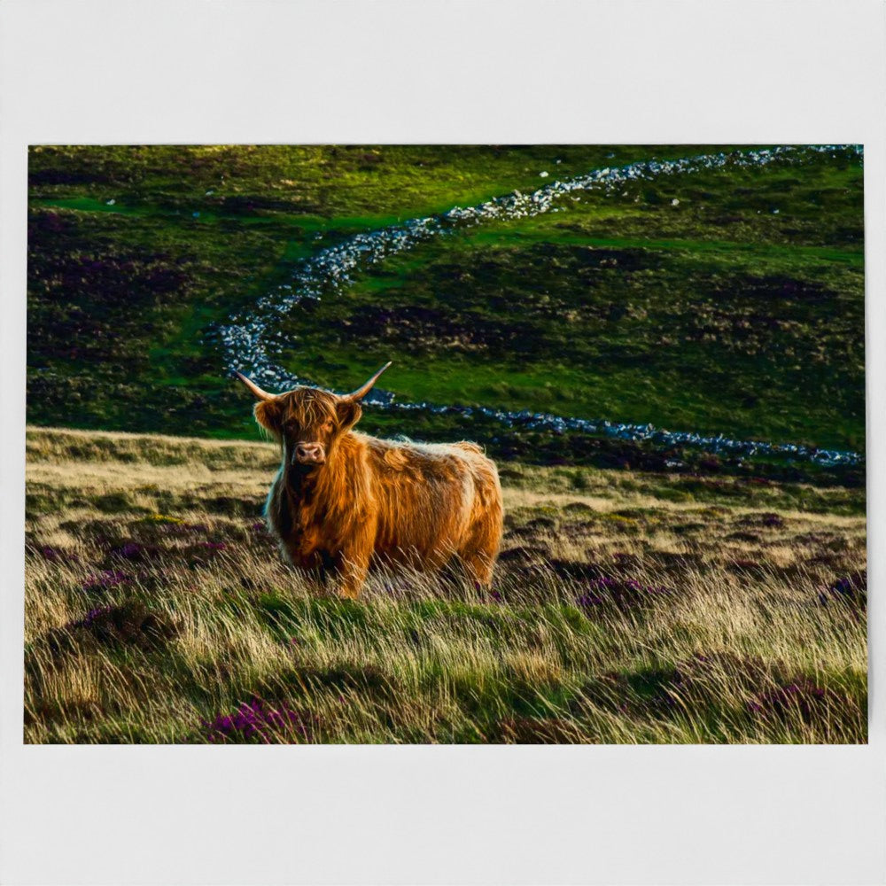 Highland at Grimspound 7x5 Greeting Card