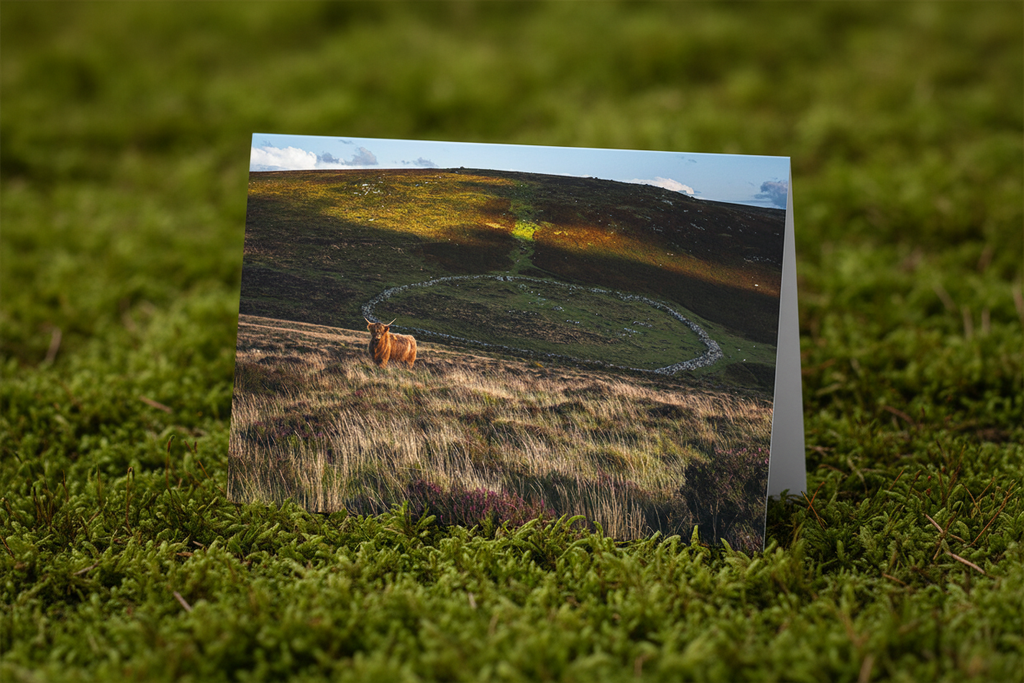 Highland at Grimspound - Mossy Mockup