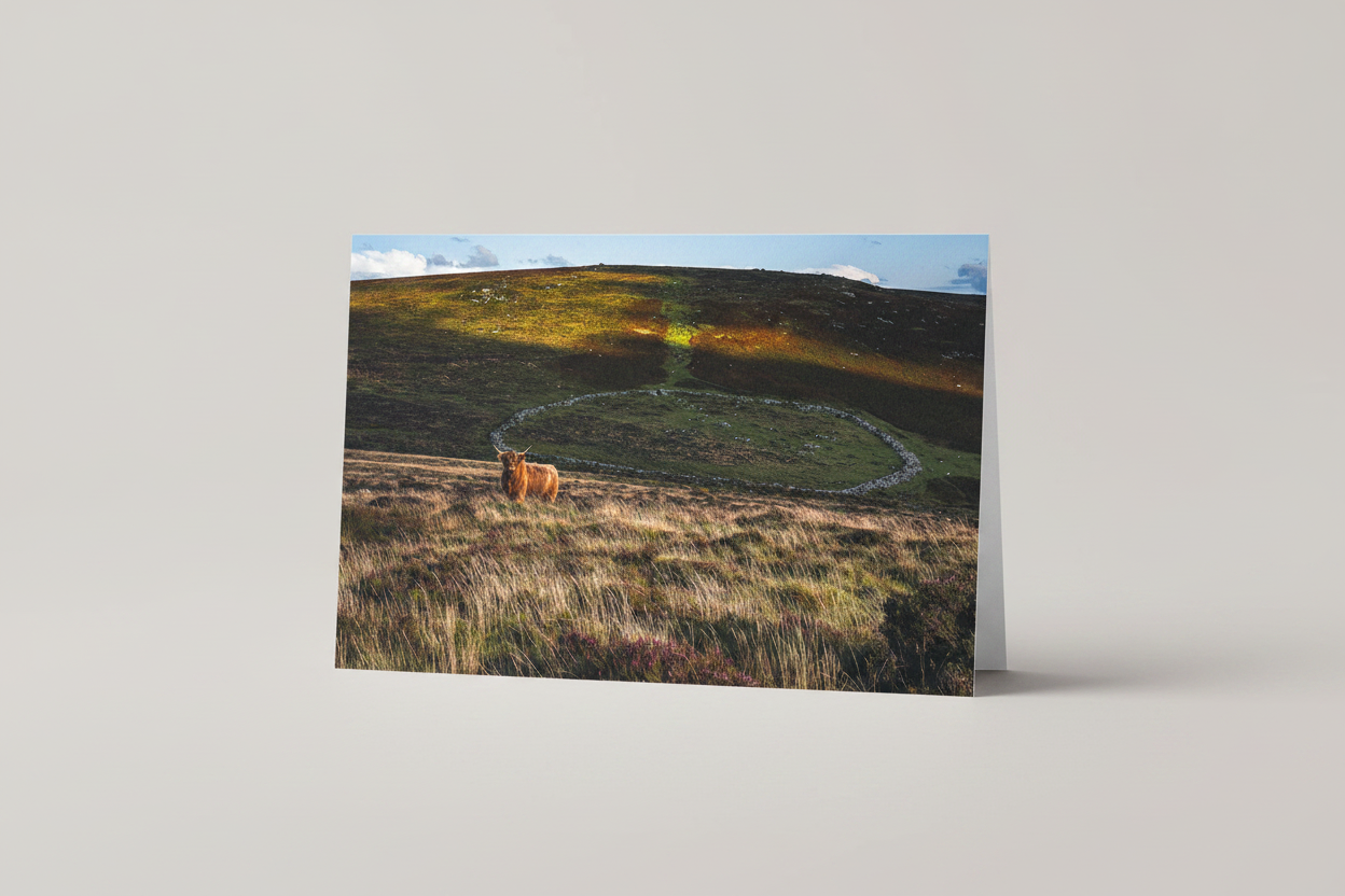 Highland at Grimspound - Studio Redo