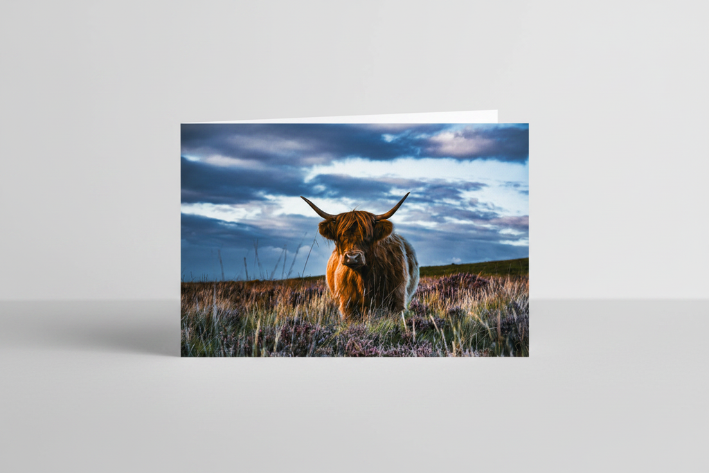 Highland Heather - Studio Landscape Fix