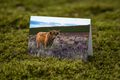 Highland in Heather - Mossy Mockup