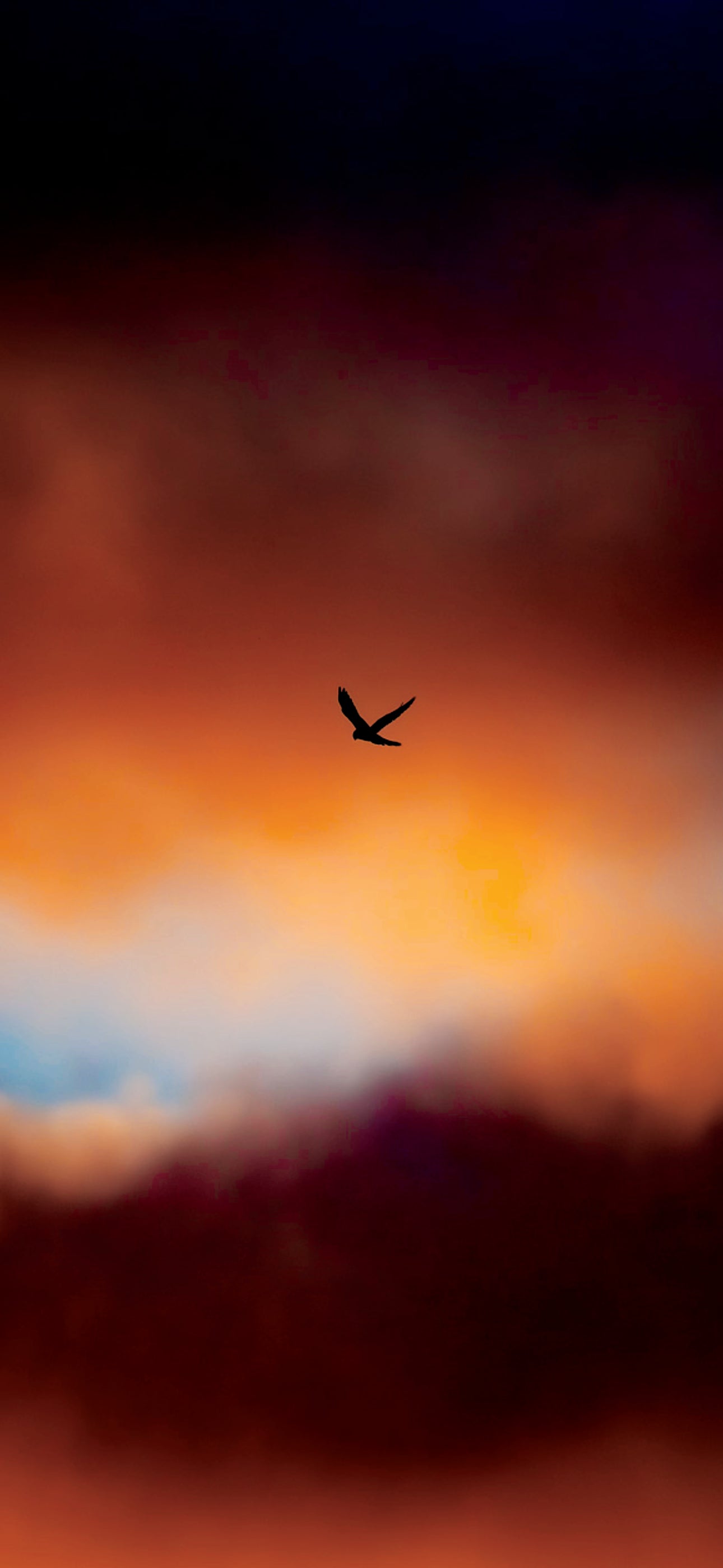 The Kestrel — Phone Wallpaper