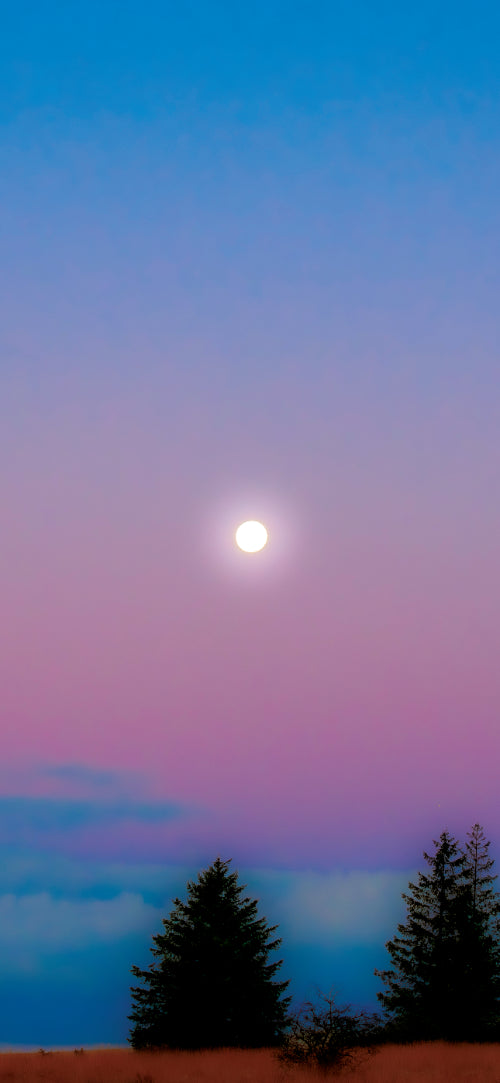 Moorland Moonset — Phone Wallpaper