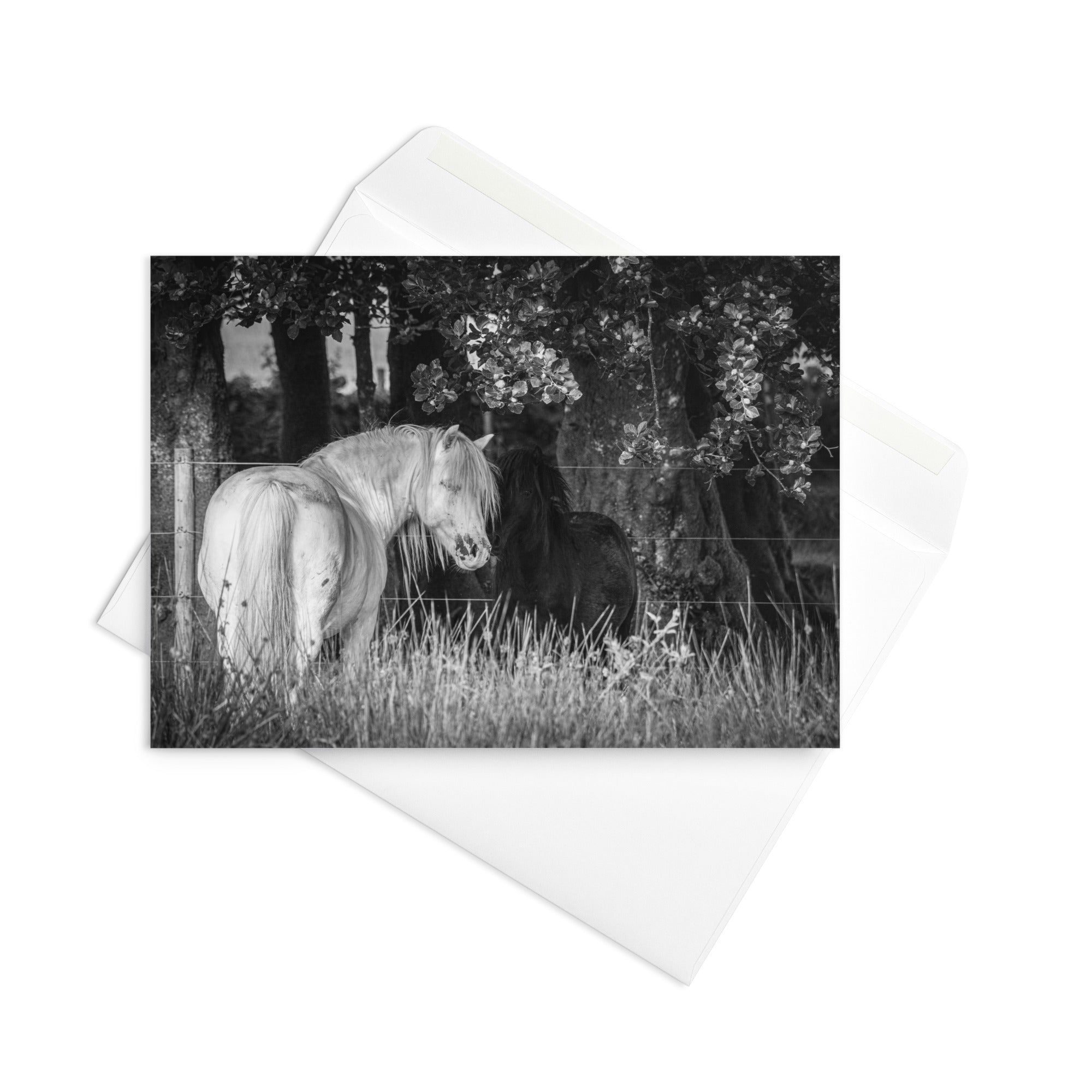 Dartmoor Hillies 7x5 Greeting Card