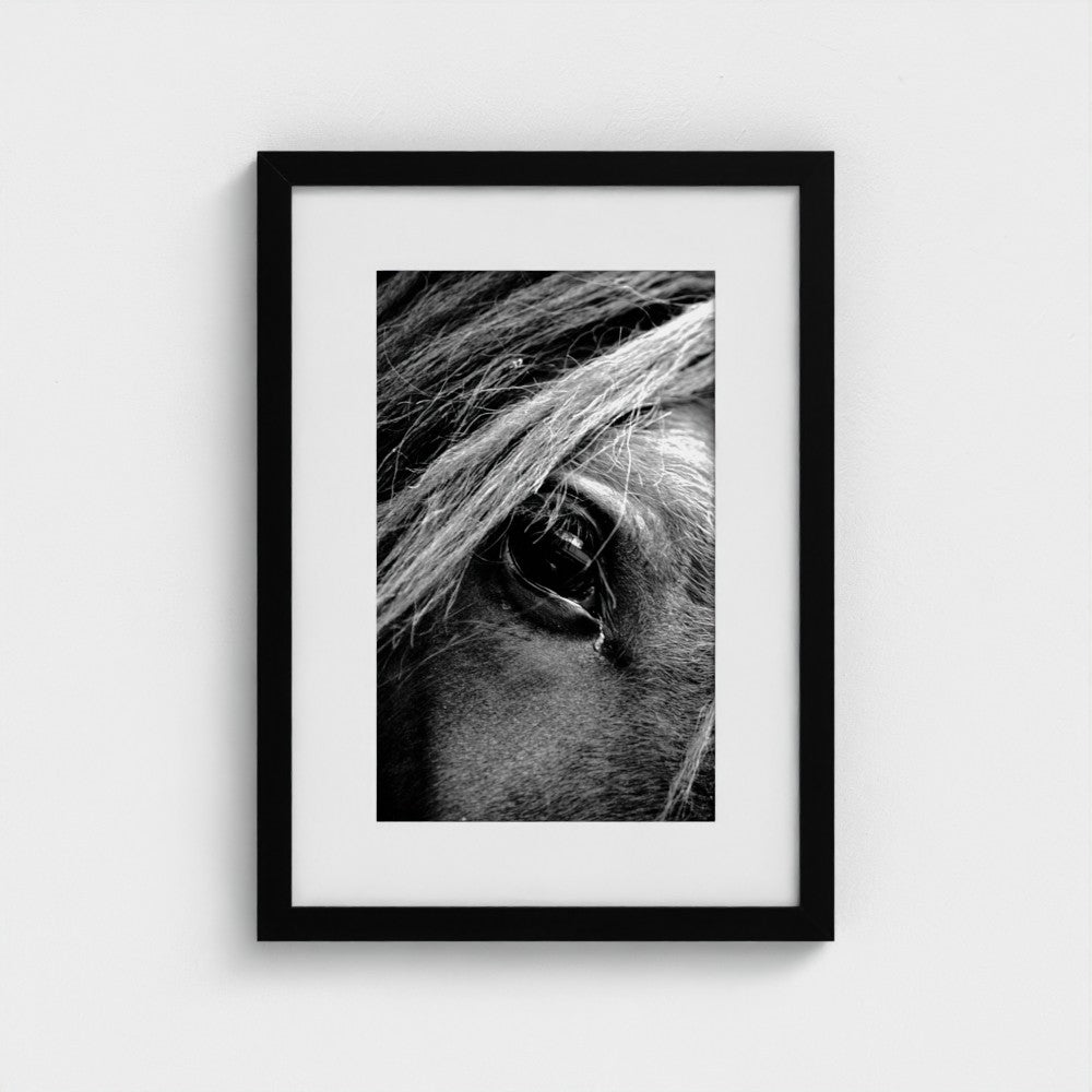 Soul of the Horse