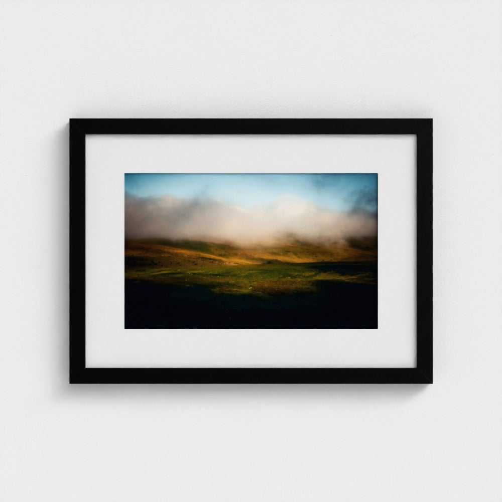 Misty Moorland