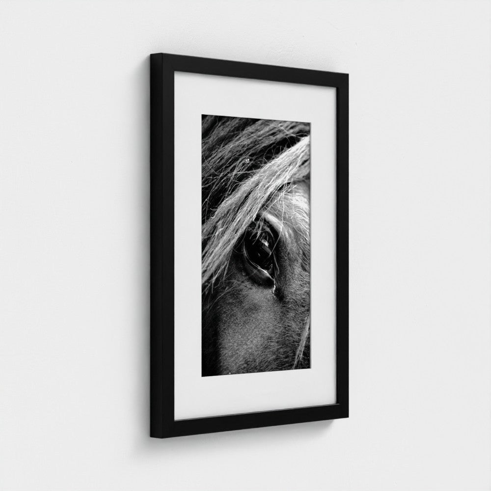 Soul of the Horse