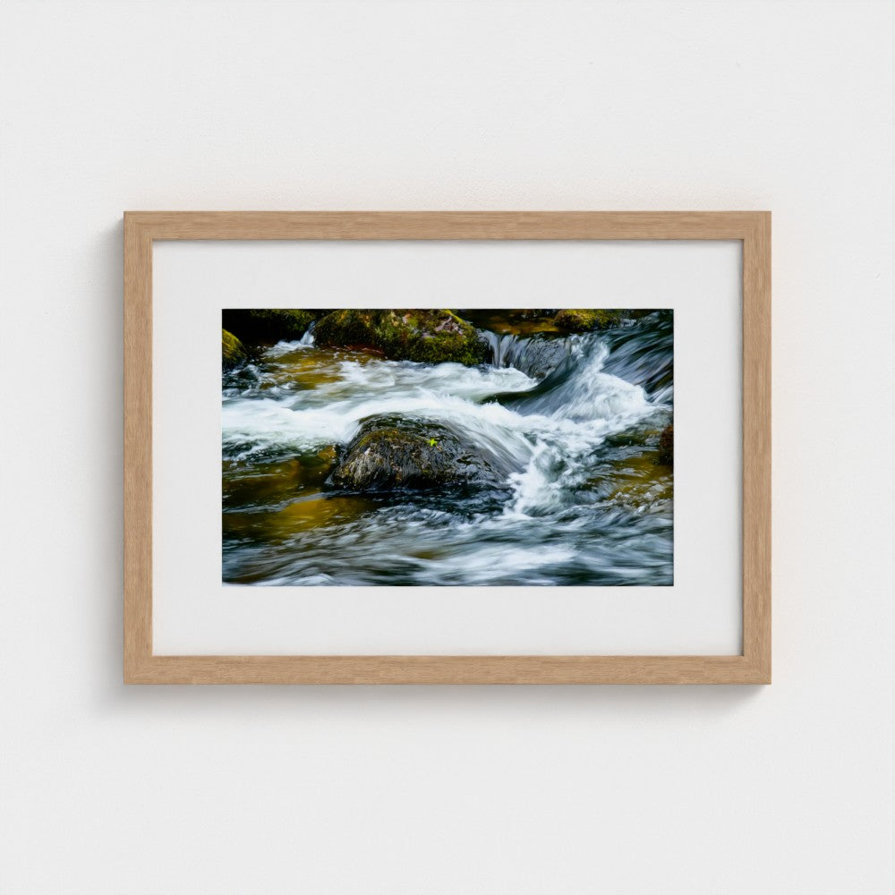 Wild River, Dartmoor