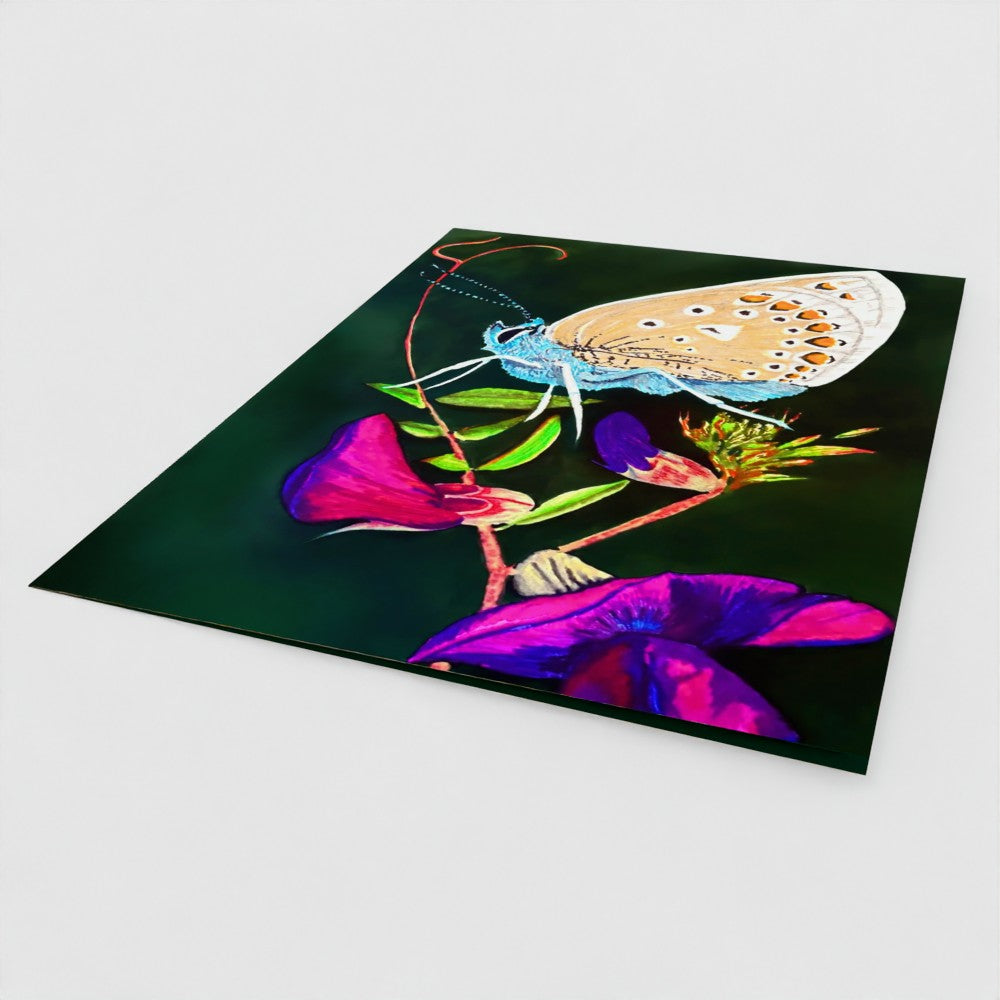 Butterfly on Vetch 7x5 Greeting Card