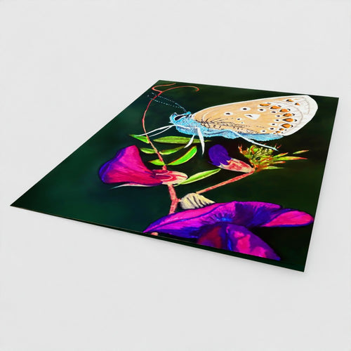 Butterfly on Vetch 7x5 Greeting Card