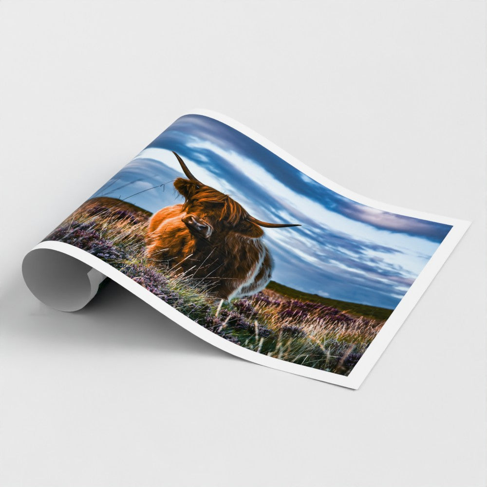 The Highland of the Moors