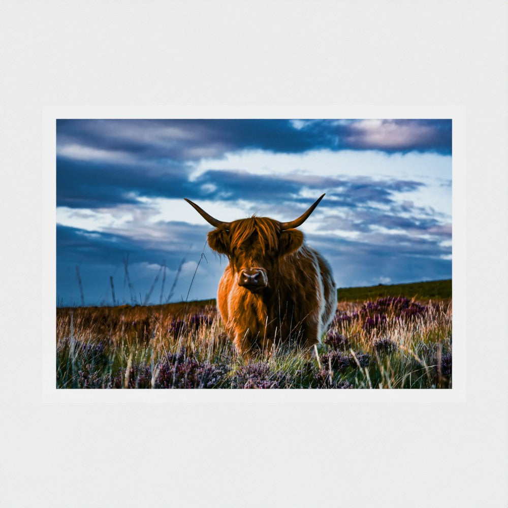The Highland of the Moors