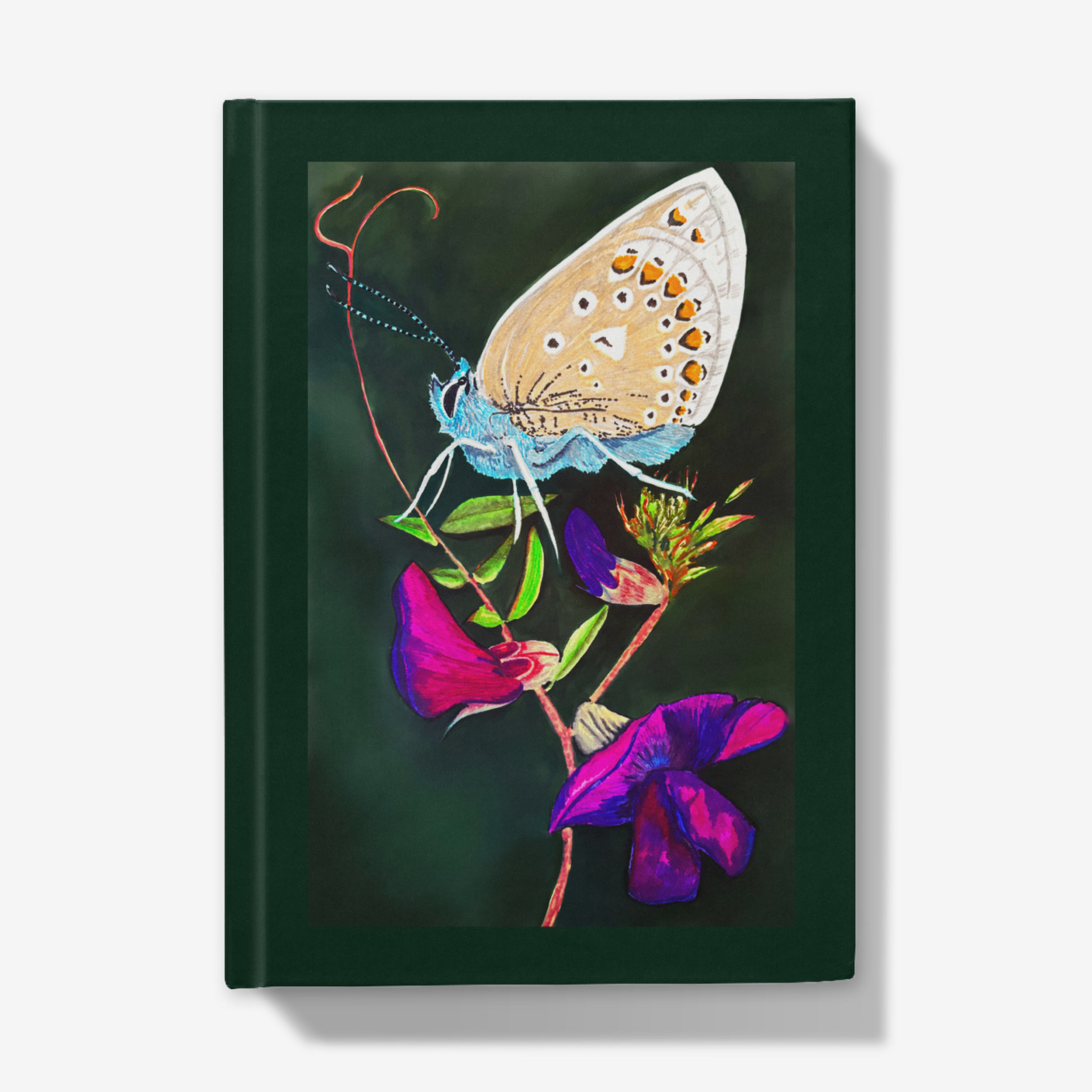 Butterfly on Vetch Hardback Notebook