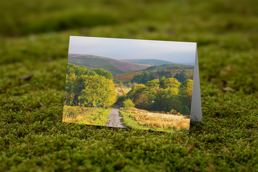 Road to Postbridge - Mossy Mockup