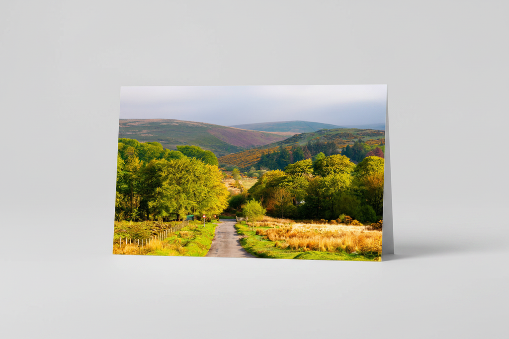 Road to Postbridge - Studio Redo 2