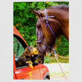 Rural Postal Service 7x5 Greeting Card
