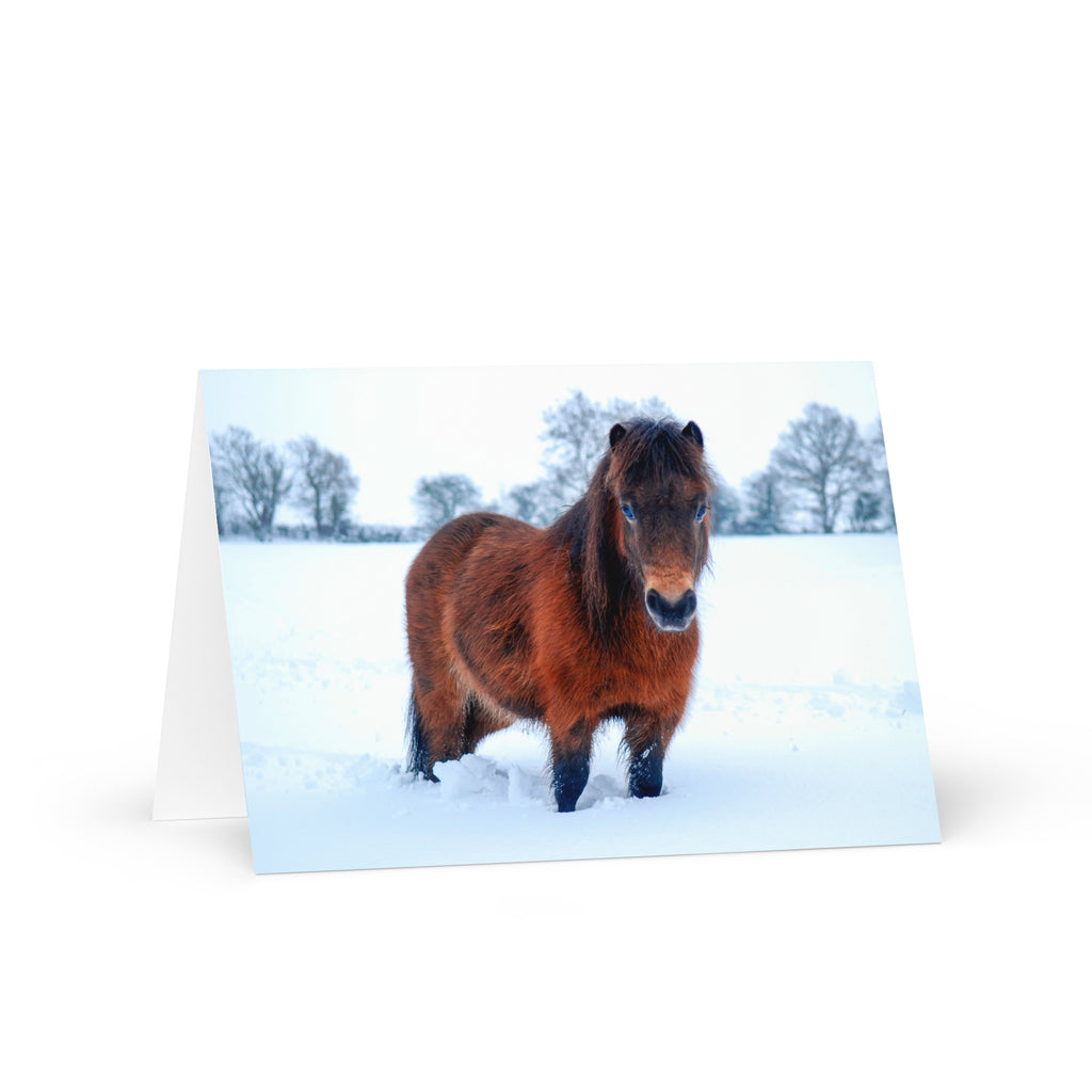 Shetland Pony in Snow A5 Greeting Card