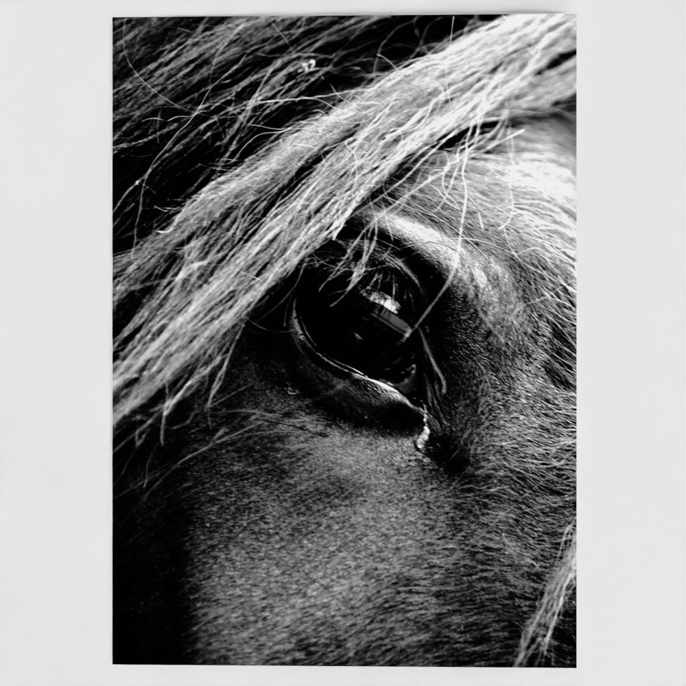 The Soul of a Horse 7x5 Greeting Card