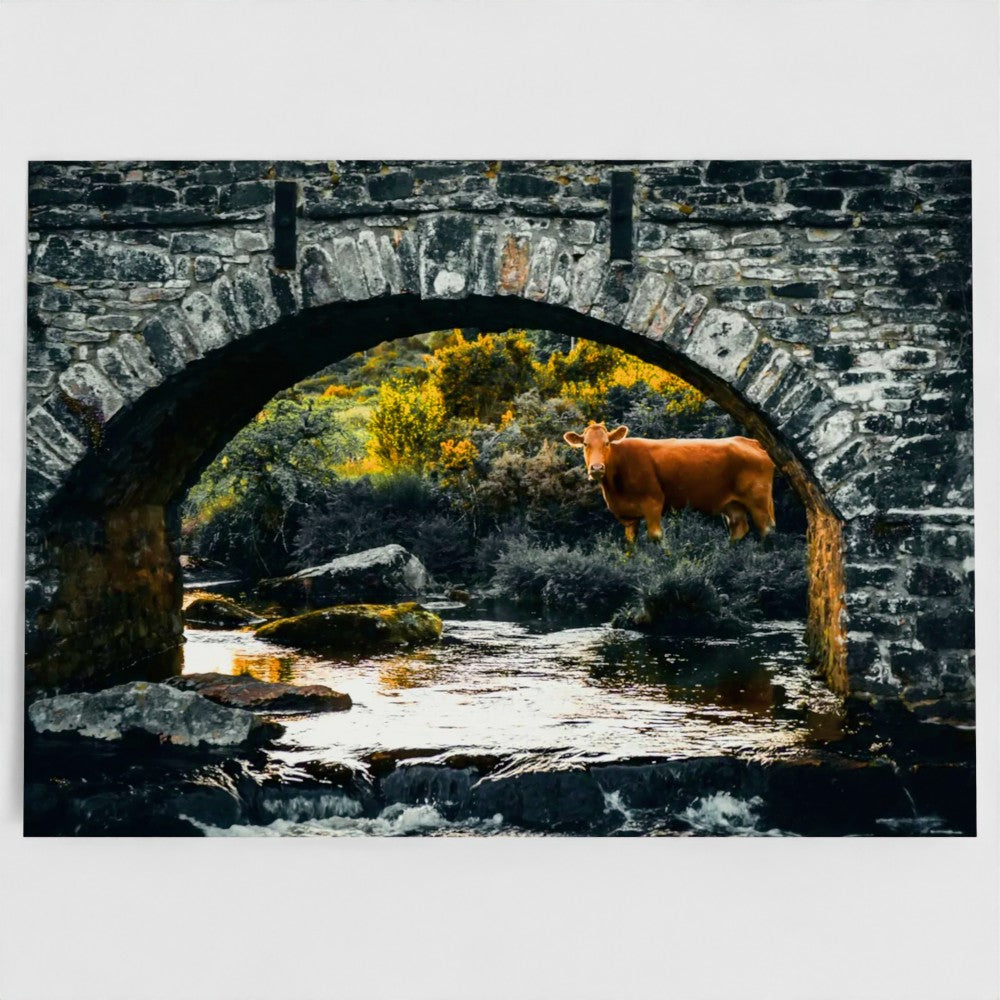 Under the Bridge 7x5 Greeting Card