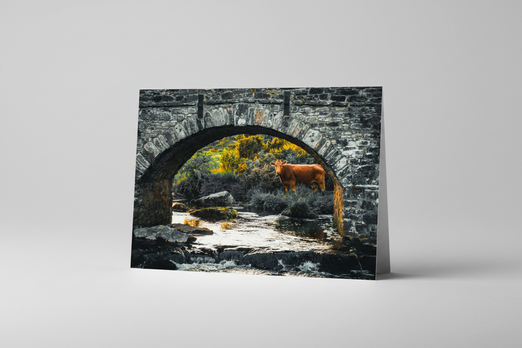 Under the Bridge - Studio Redo 2