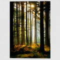Forest Gold 7x5 Greeting Card