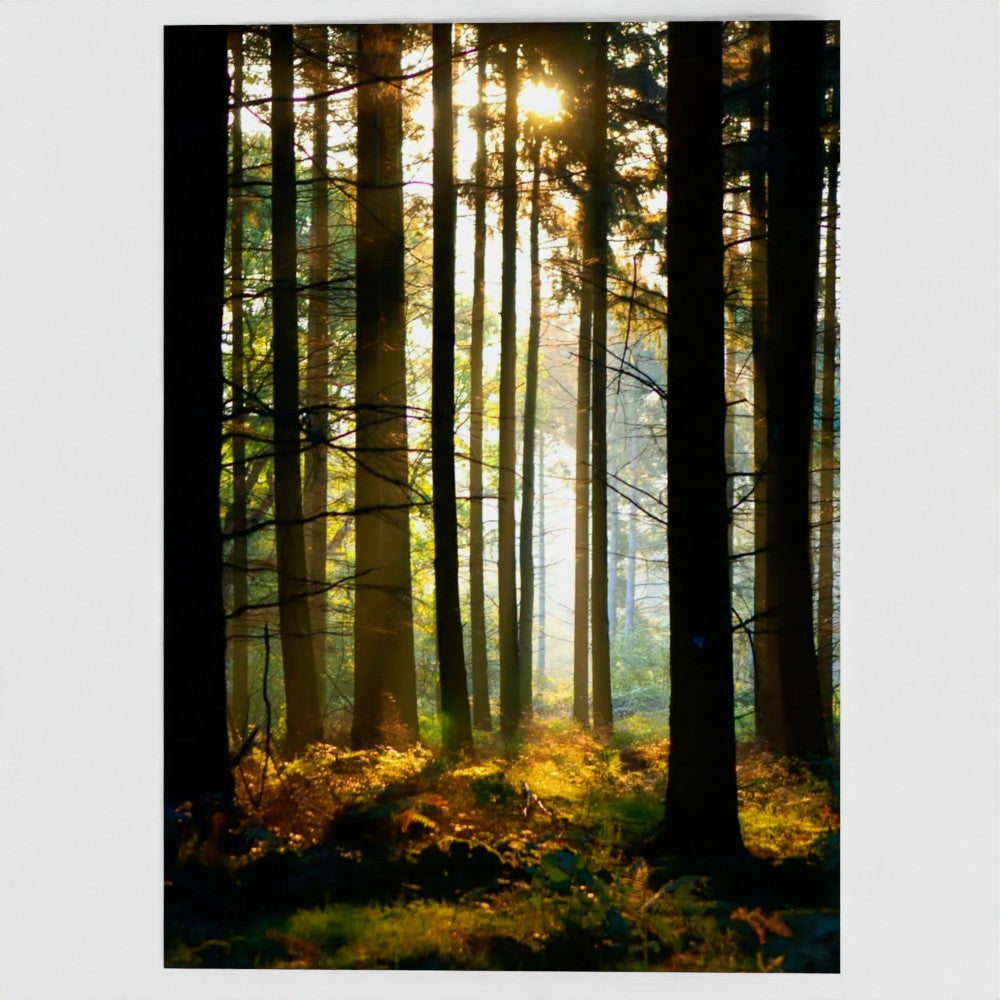Forest Gold 7x5 Greeting Card